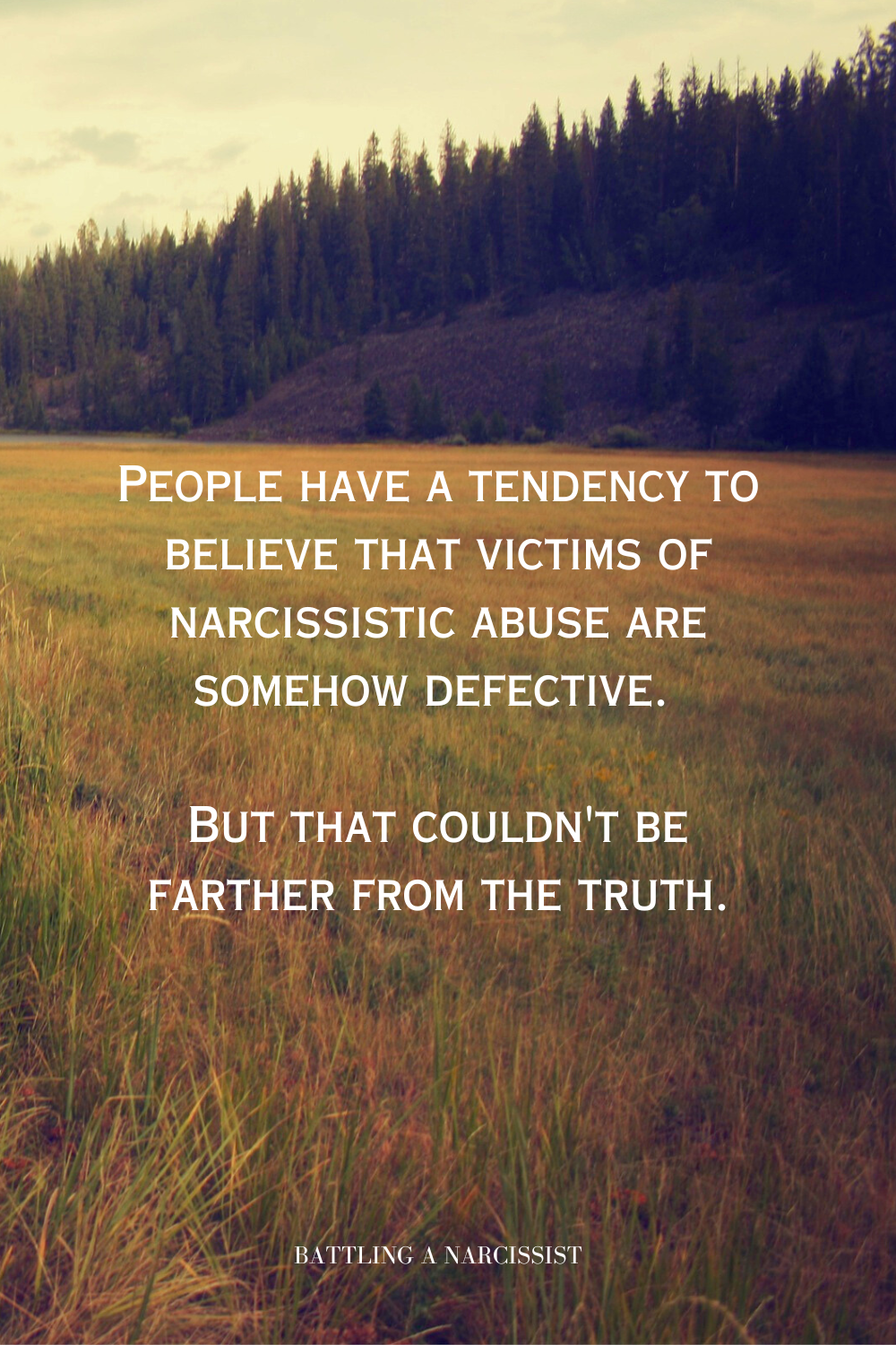 People have a tendency to believe that victims of narcissistic abuse are somehow defective. 

But that couldn't be farther from the truth.